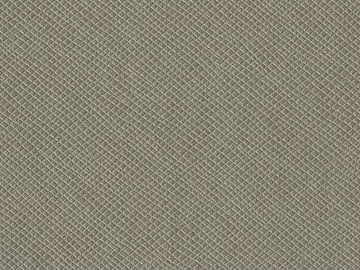 Coarse-grain leather texture (ID:ffach797431)