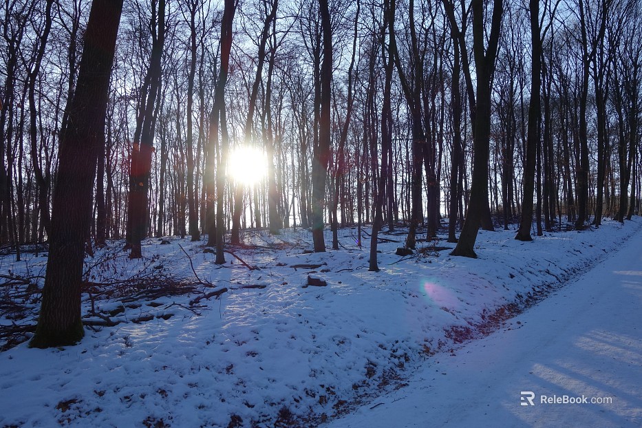 Snow texture