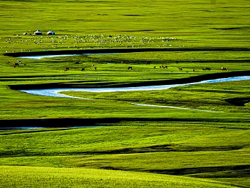 Beautiful prairie texture (ID:ffach594980)