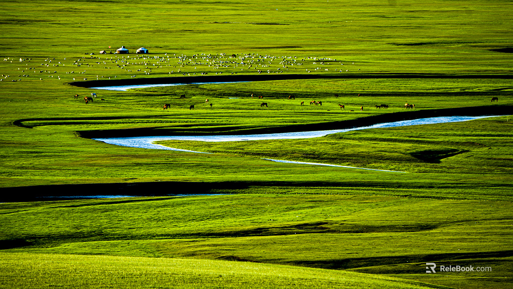 Beautiful prairie texture