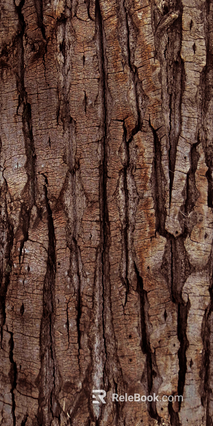 bark texture