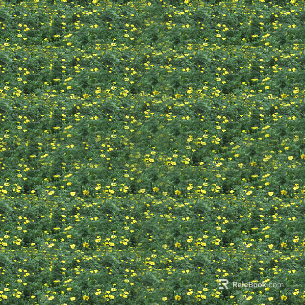 Plants texture