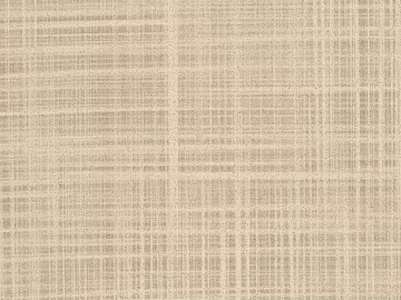Plain pattern carpet texture (ID:ffajg33022)