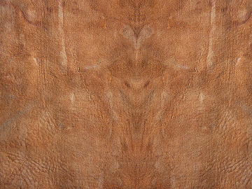 fine grain leather texture (ID:ffajg60053)