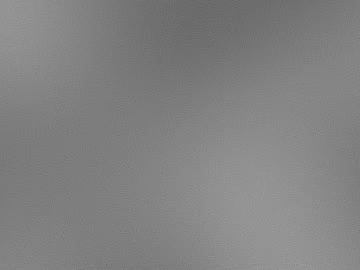 Black and White Bump 3d model