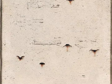 old wood texture (ID:ffacg78637)