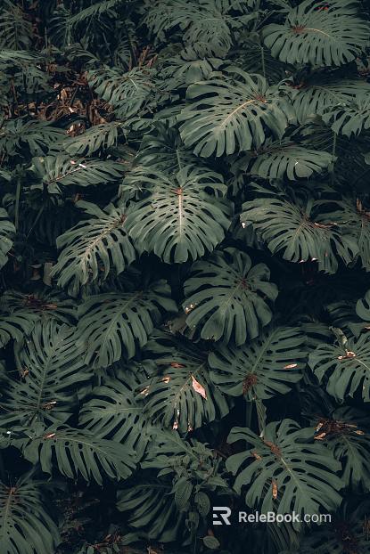 plant pattern texture