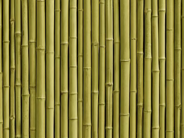 Bamboo texture (ID:ffacg49862)