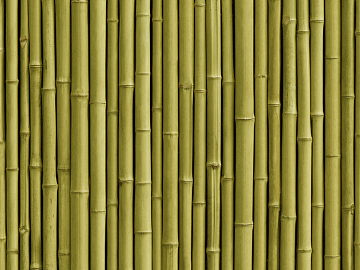 Bamboo texture (ID:ffacg49862)