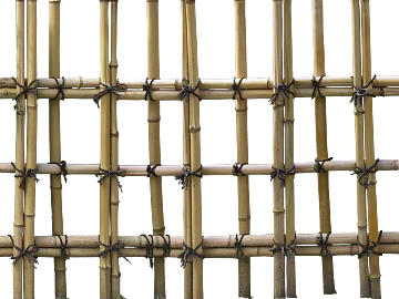 Bamboo texture (ID:ffajg45162)