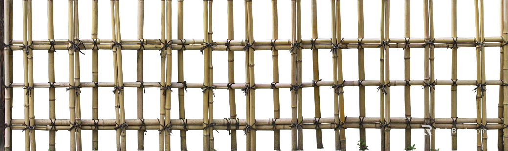 Bamboo texture