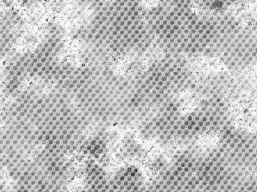 Barbed wire texture (ID:ffaag42982)