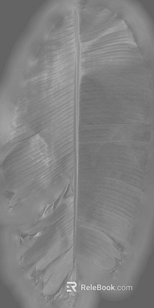 Grey banana leaf natural texture texture