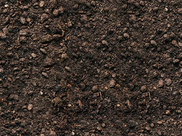 Mud texture (ID:ffaef3323)