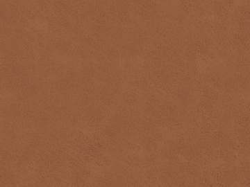 fine grain leather texture (ID:ffagg05376)