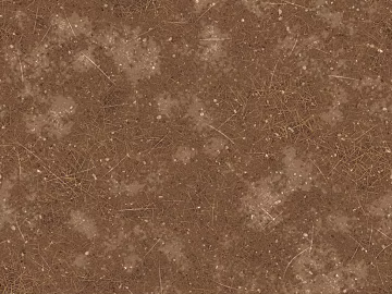 Mud texture (ID:ffach844665)