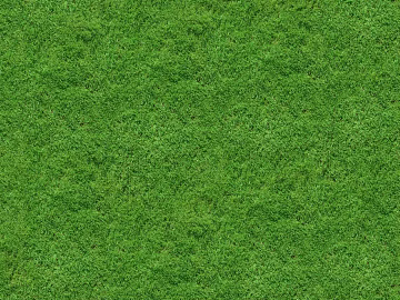 outdoor lawn grass natural ground texture (ID:ffaeh937944)