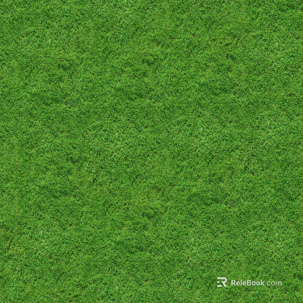 outdoor lawn grass natural ground texture