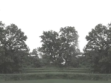 Wild Scenery 3d model