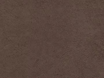 Coarse-grain leather texture (ID:ffach800943)
