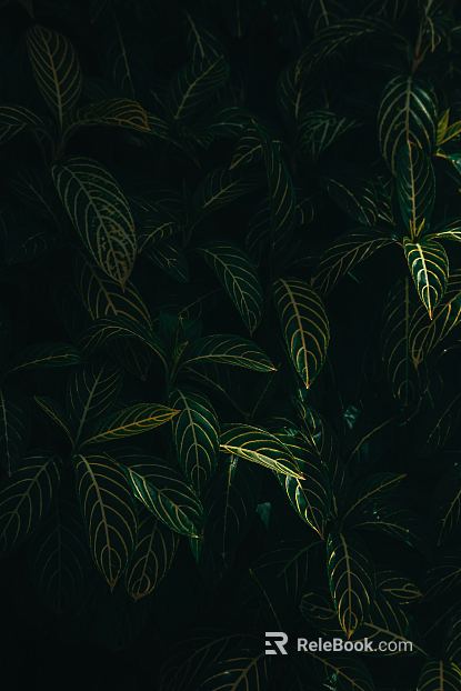 Plants texture
