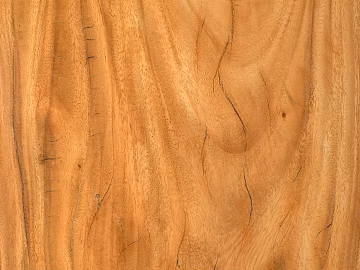 Wood Board Old Wood Grain Texture Wood Texture texture (ID:ffach931356)