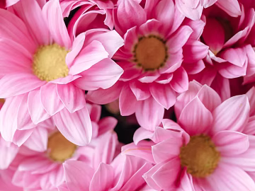 Flowers texture (ID:ffagg99708)