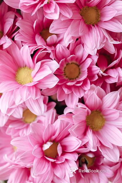 Flowers texture