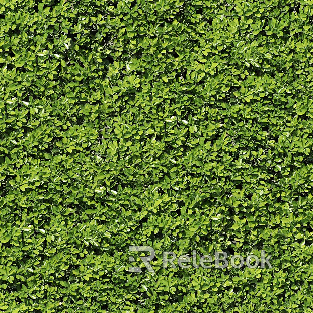 Plants texture