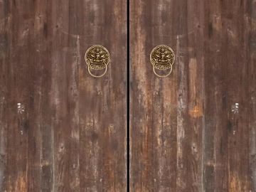 Wooden door texture (ID:ffagg27861)