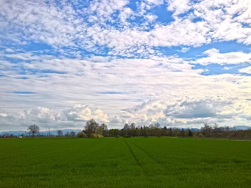 Wild Scenery texture (ID:ffajg86710)