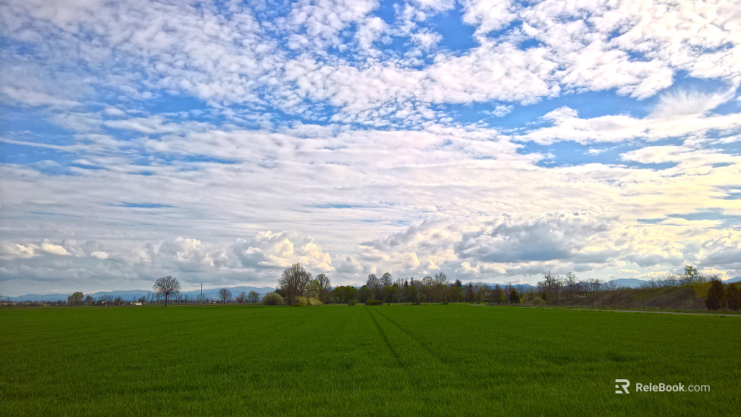 Wild Scenery texture