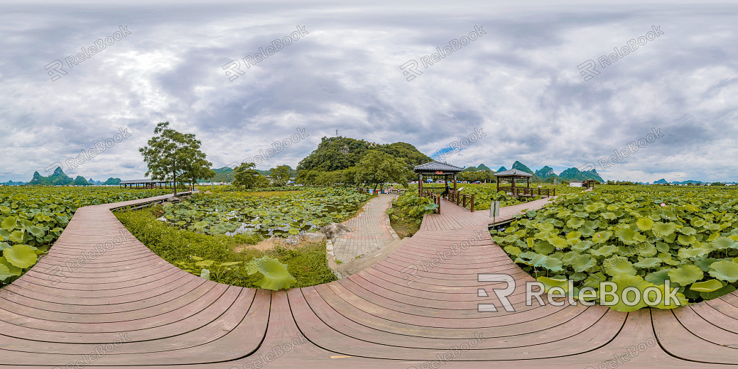 HDR Green Trailway Forest Leisure Riverside texture