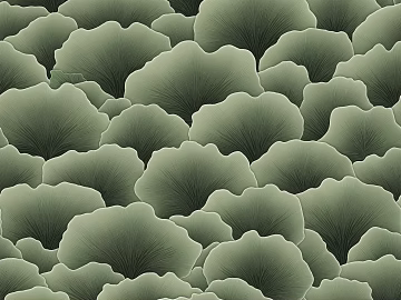 plant pattern texture (ID:ffach584870)