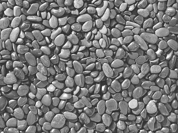 Black and White Bump texture (ID:ffadf2417)