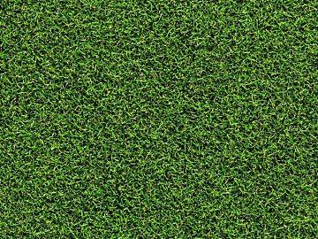 Grassland texture (ID:ffach068611)