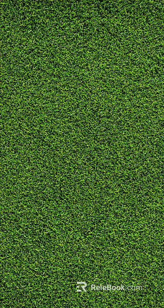 Grassland texture