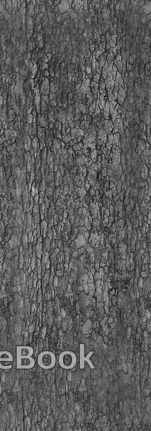 bark texture