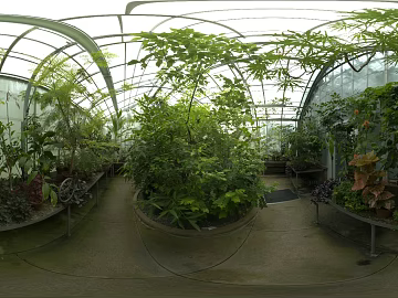 Greenhouse Plant Greenhouse Day HDR texture (ID:ffabg68911)