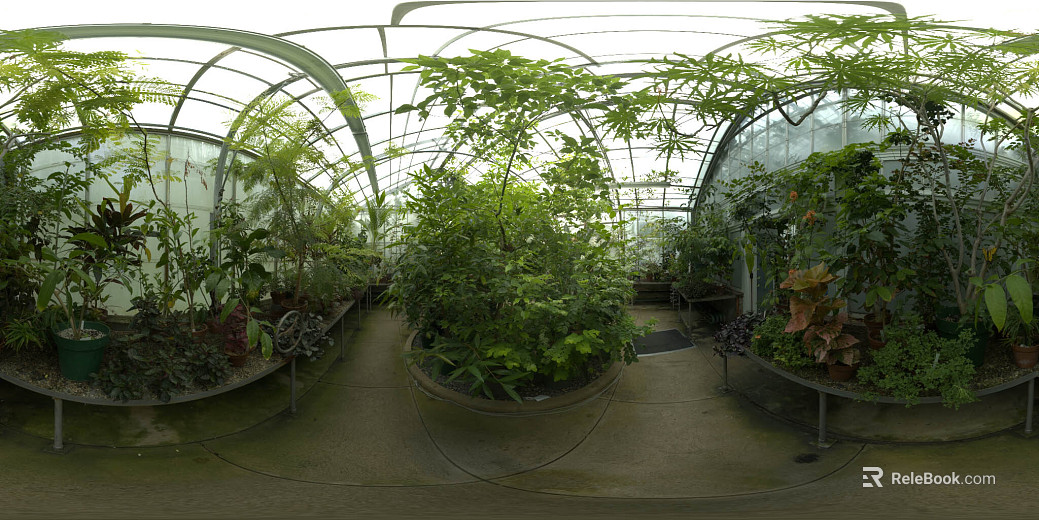 Greenhouse Plant Greenhouse Day HDR texture