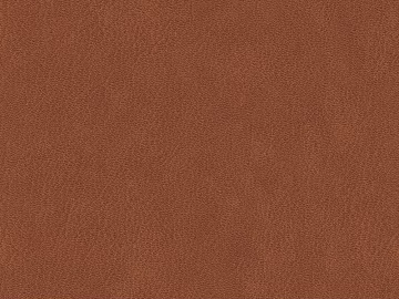 fine grain leather texture (ID:ffaaf5496)