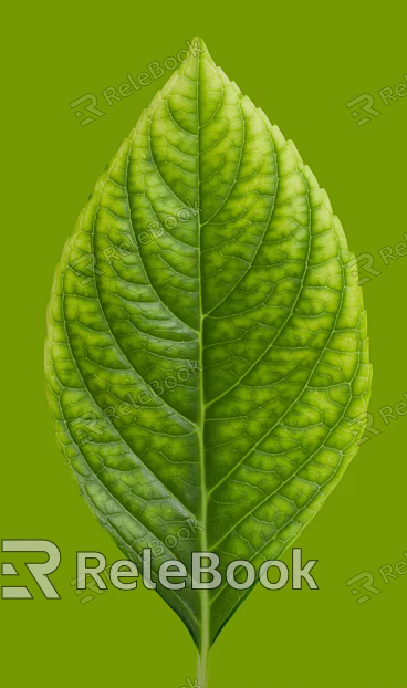 green leaf texture
