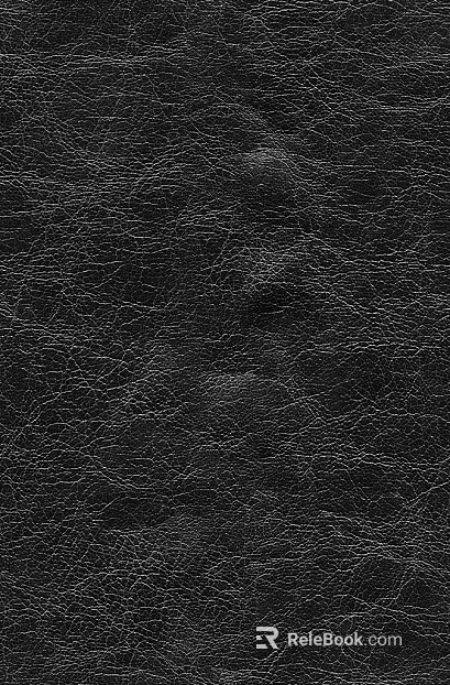 Coarse-grain leather texture