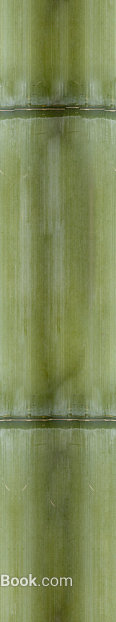 Bamboo texture