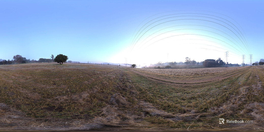 Outdoor grassland during the day sunny HDR texture