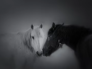 Animal painting texture (ID:ffagg10497)