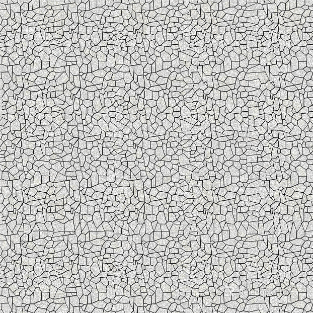 Stone Paving texture