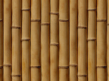 Bamboo texture (ID:ffaeg63456)