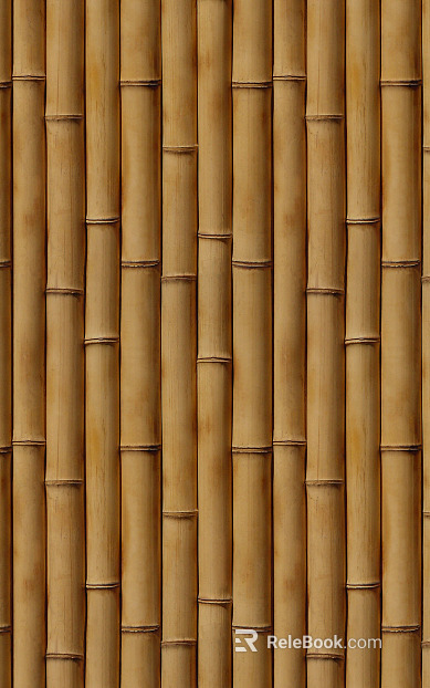 Bamboo texture