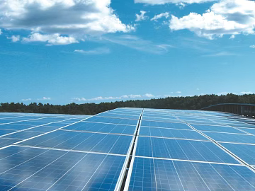 Wild Scenery texture (ID:ffaeg90561)